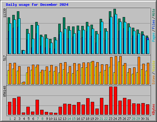 Daily usage for December 2024