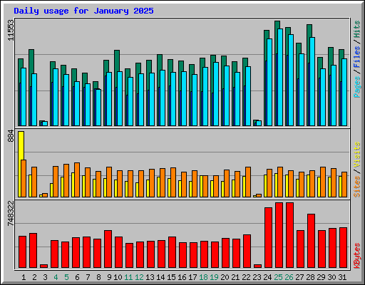 Daily usage for January 2025