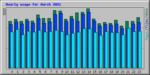 Hourly usage for March 2021