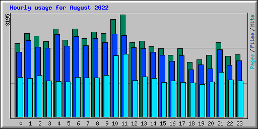 Hourly usage for August 2022