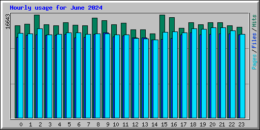 Hourly usage for June 2024