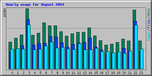 Hourly usage for August 2024
