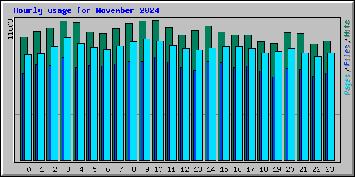 Hourly usage for November 2024