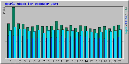 Hourly usage for December 2024