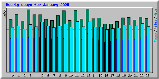 Hourly usage for January 2025