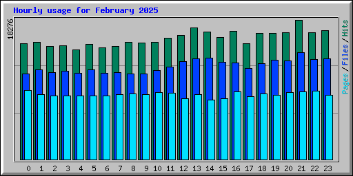 Hourly usage for February 2025