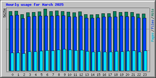 Hourly usage for March 2025