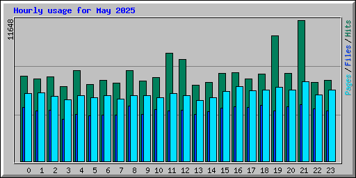 Hourly usage for May 2025