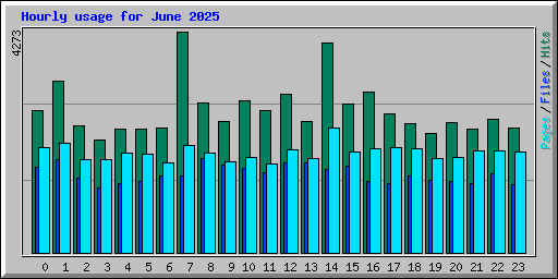 Hourly usage for June 2025