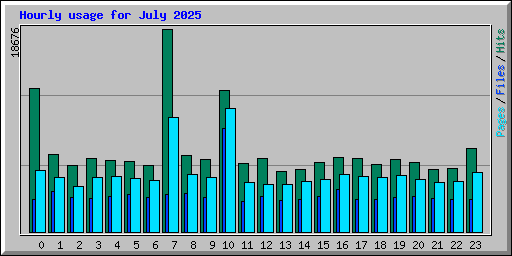 Hourly usage for July 2025