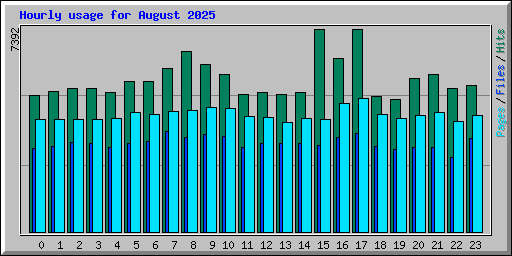 Hourly usage for August 2025