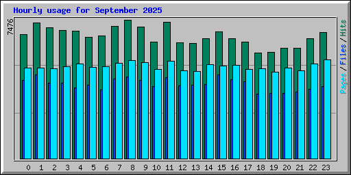 Hourly usage for September 2025